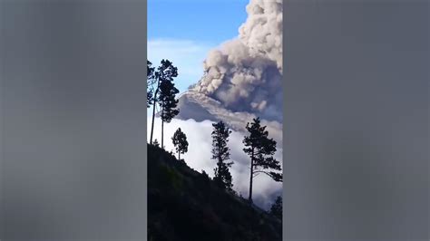 Guatemala Begins Evacuations As Fuego Volcano Eruptsspews Huge Clouds