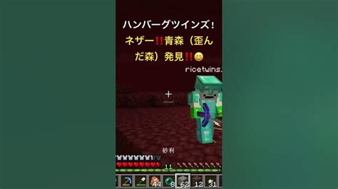 ネザー‼️歪んだ森青森発見‼️😆小5 ハンバーグツインズ Minecraft マイクラ マインクラフト