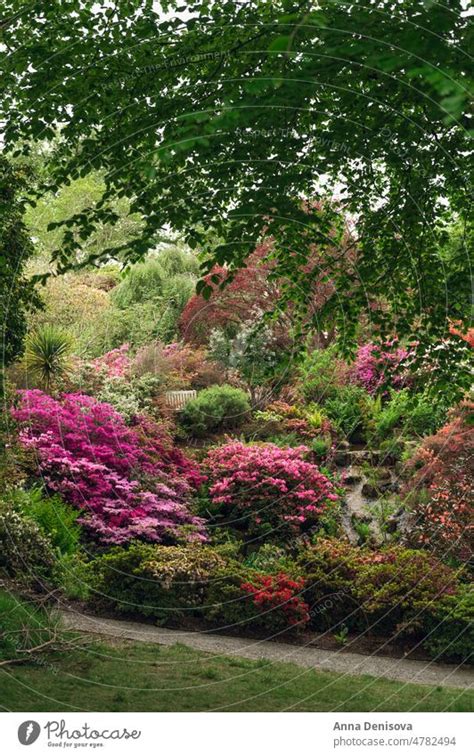 Garten Mit Bl Henden B Umen Im Fr Hling Ein Lizenzfreies Stock Foto