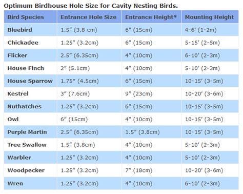 Bird House Hole Size (Best Dimensions) – DIY Projects, Patterns ...