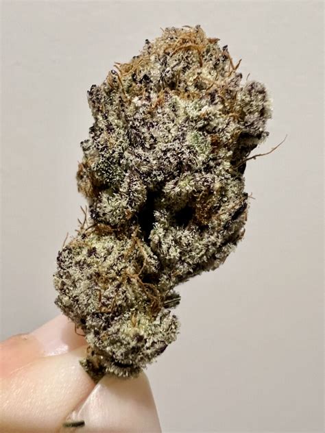 Grape Gas - Strain Review - HighThailand