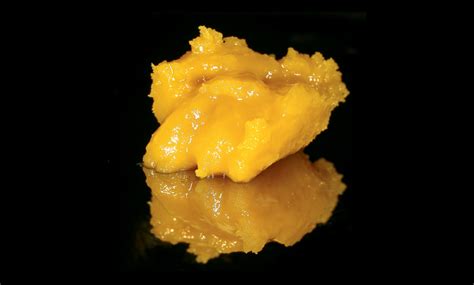 Cannabis Batter and Cannabis Budder. Eberything About the Extract