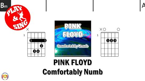 Pink Floyd Comfortably Numb Fcn Guitar Chords And Lyrics