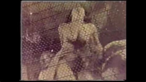 Zerrin Egeliler Sikis Bal Amcik Oruspu Sikis Kazim Kartal Retro Retro Porn XHamster