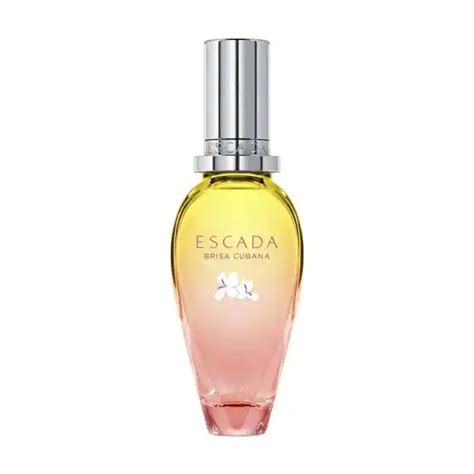 Seis Perfumes Que Huelen Genial Y Que Gustan A Todas En Marzo Mujerhoy