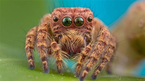 10 Lisst Crawler Hacks That Will Blow Your Mind (Experts Reveal All!) Image 17