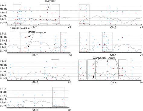 Temperature And Photoperiod Changes Affect Cucumber Sex Expression By Different Epigenetic
