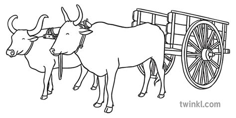 Oxen Pulling Cart Black and White Illustration - Twinkl