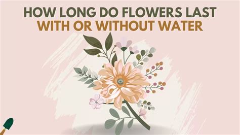 What Is Nardos Flower Origins Uses Facts And Care