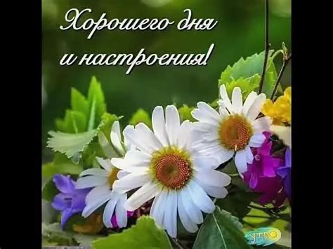 Успешного дня: красивая коллекция изображений