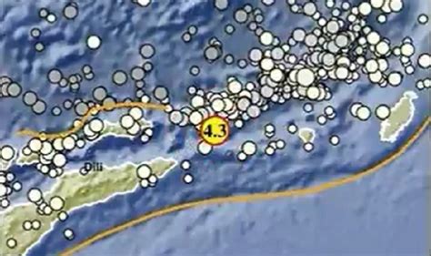 Maluku Barat Daya Digoyang Gempa Magnitudo 4 3