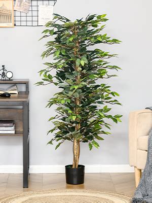 Amazon De Homcom K Nstlicher Ficus Baum Gro Cm Kunstbaum