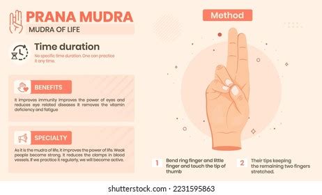 Exploring Prana Mudra Benefits Characteristics Method Stock Vector