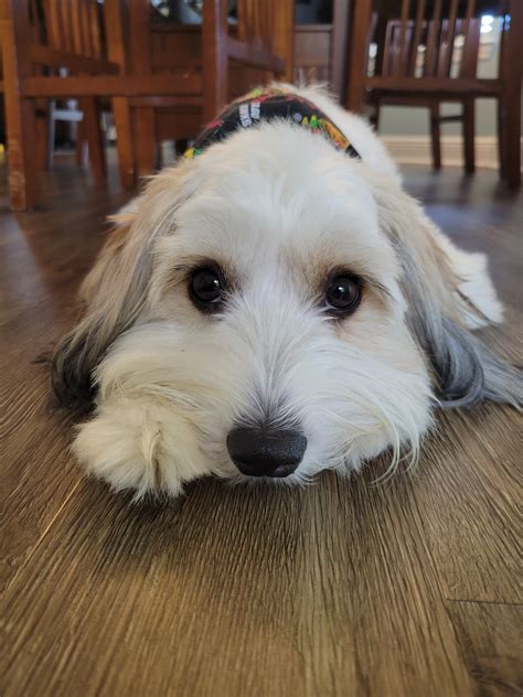 Dual Dream Sorc is far superior to Dual Dream Pally,... I'll save you a