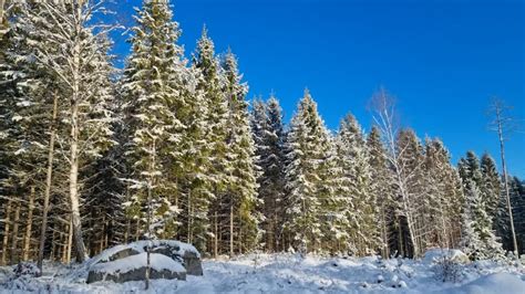 Winter In Zweden Vlog Emigreren Naar Zweden Youtube