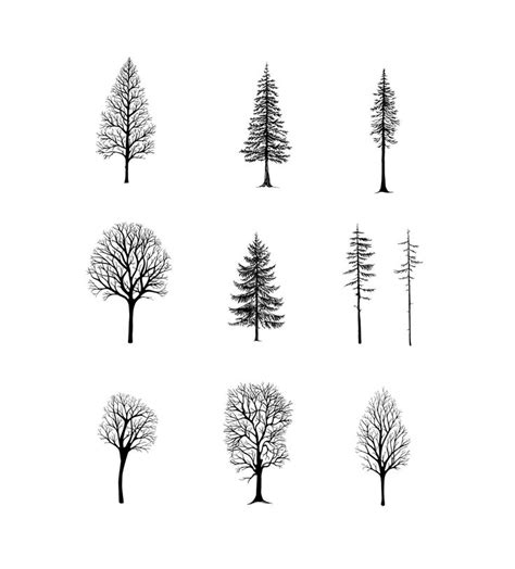 Procreate Brush Tree Stamps Create Wood Scenes Winter Tree