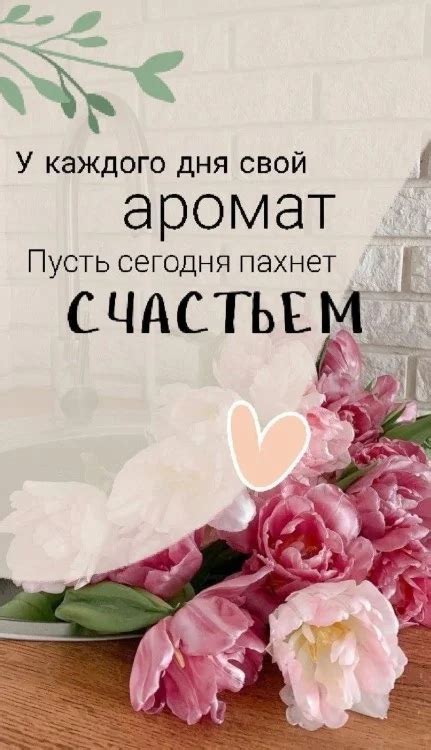 Открытки Тедди 2024 | ВКонтакте