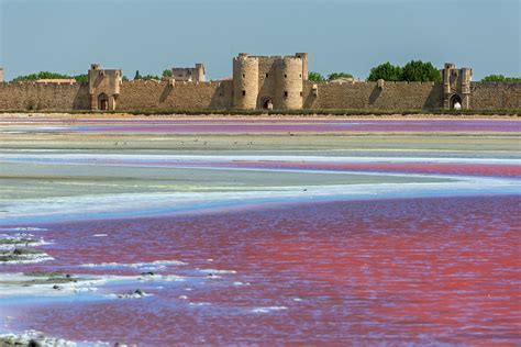 Camargue Of Aigues Mortes In Arles By Way Of The Ponds