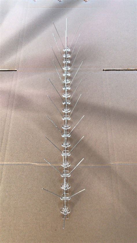 Stainless Steel Anti Bird Spike Pigeon Control Anti Bird Spike