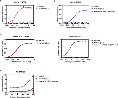 Frontiers Antagonistic Antibody Targeting Tnfr Inhibits Regulatory T