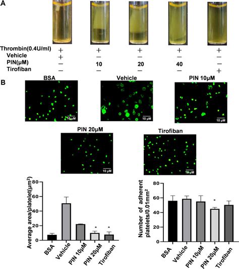 Frontiers Pimpinellin Inhibits Collagen Induced Platelet Aggregation