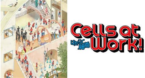 "Cells At Work!" Anime Gets Character Visuals for Red & White Blood Cells - Anime Herald