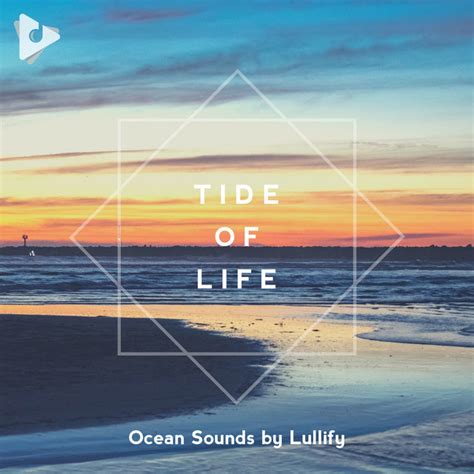 Tide Of Life Album By Ocean Sounds By Lullify Spotify