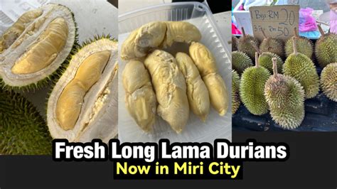 Fresh Long Lama Durians Now In Miri City Miri City Sharing