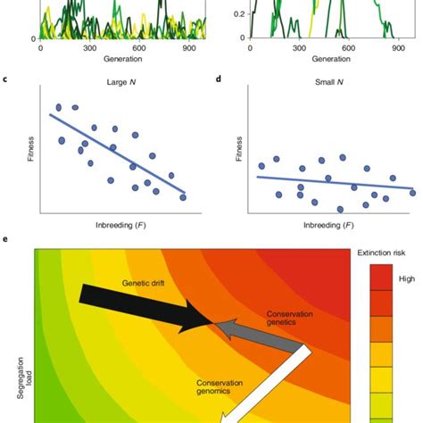 Pdf Mutation Load Is The Spectre Of Species Conservation