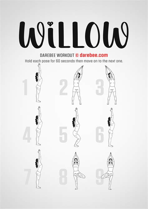 Willow Workout