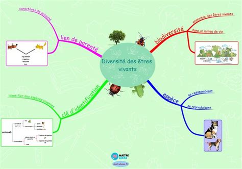 La Diversit Des Tres Vivants Pour Cm Et Cm Ma Tre Lucas Carte