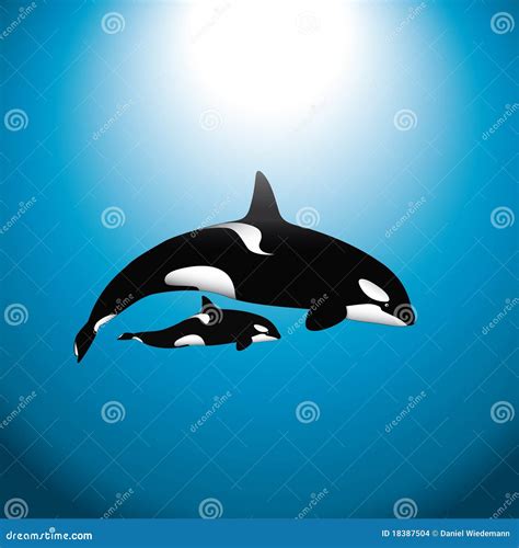 Orca Whale With Baby Stock Images - Image: 18387504