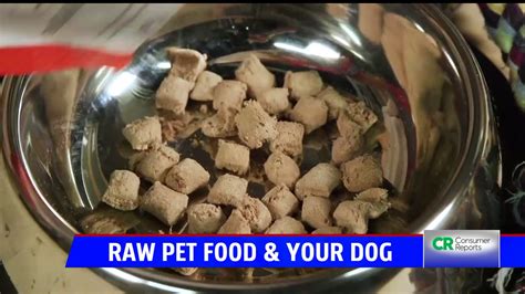 Benefits and drawbacks of raw pet food | Fox 59