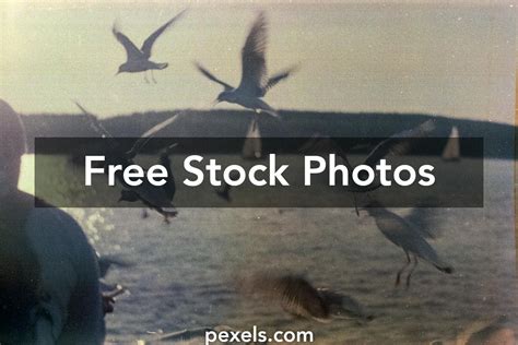 Ship Animation Photos Download The Best Free Ship Animation Stock