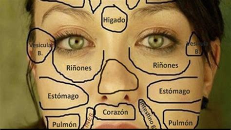 Aprende a leer tu rostro para que sepas qué pasa con tu cuerpo Annie