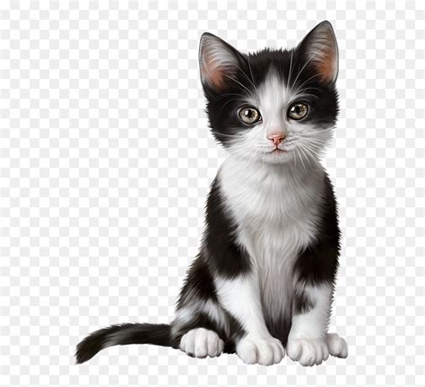 Cute Kitten Clipart Png Images Cute Kitten Clipart Clipart Free Clip