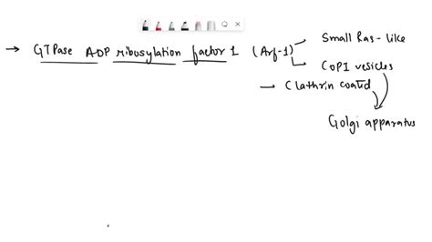 solved compare  contrast copi copii  clathrin coated vesicles