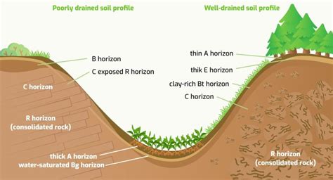 Why Is Topography Important In Agriculture