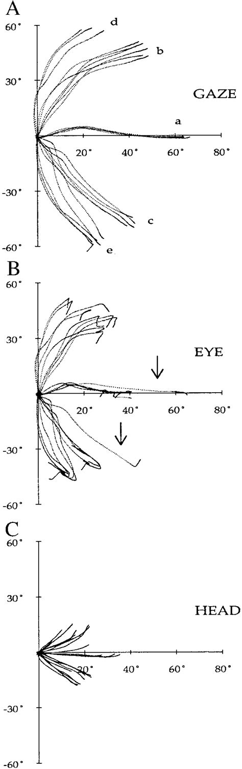 Gaze A Eye B And Head C Movement Trajectories During Gaze