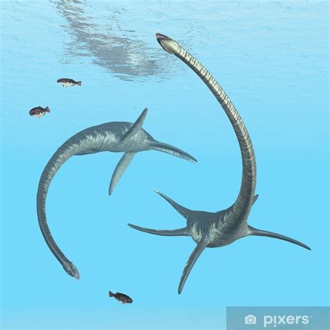 A Shocking Explanation For The Long Necks Of Plesiosaurs 58 Off