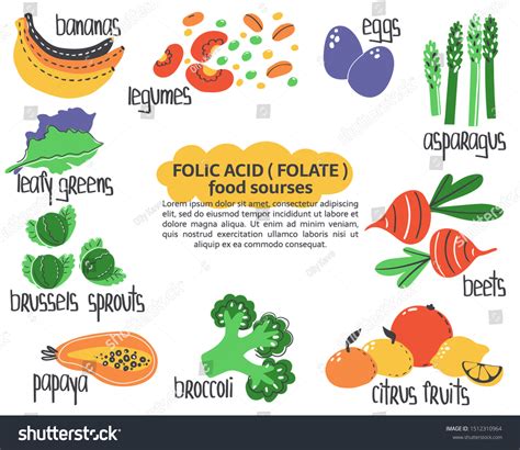 Hand Drawn Vitamin B9 Folic Acid เวกเตอร์สต็อก ปลอดค่าลิขสิทธิ์ 1512310964 Shutterstock