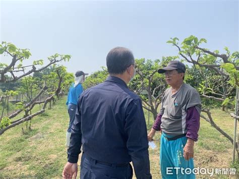 台南歸仁釋迦遠近馳名 警民齊力護果防竊 Ettoday地方新聞 Ettoday新聞雲