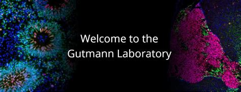 Gutmann Research Laboratory Gutmann Research Laboratory Washington