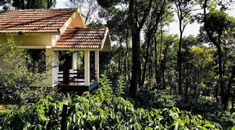 BEST HOMESTAYS IN WAYANAD TOP PICKS Homestayinfo