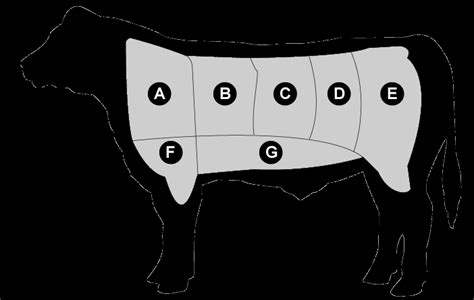 The Definitive Guide To Beef Cuts All You Need To Know 40 Off