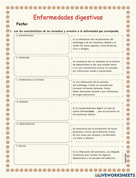 Enfermedades Del Sistema Digestivo Interactive Worksheet Enfermedades