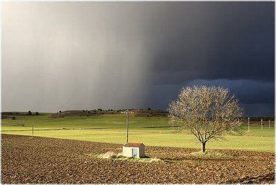 El olor a tierra mojada después de la lluvia Fotos bonitas Foto Tierra