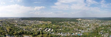 Древо - иллюстрация: Город Барыш