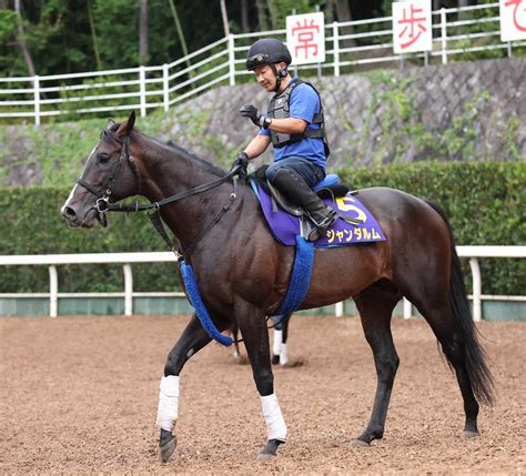 【スプリンターズs】ジャンダルム 叩いて上昇気配、池江師手応え― スポニチ Sponichi Annex ギャンブル