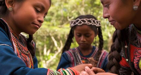 Becas FILAC Título de experto en pueblos indígenas Derechos Humanos y